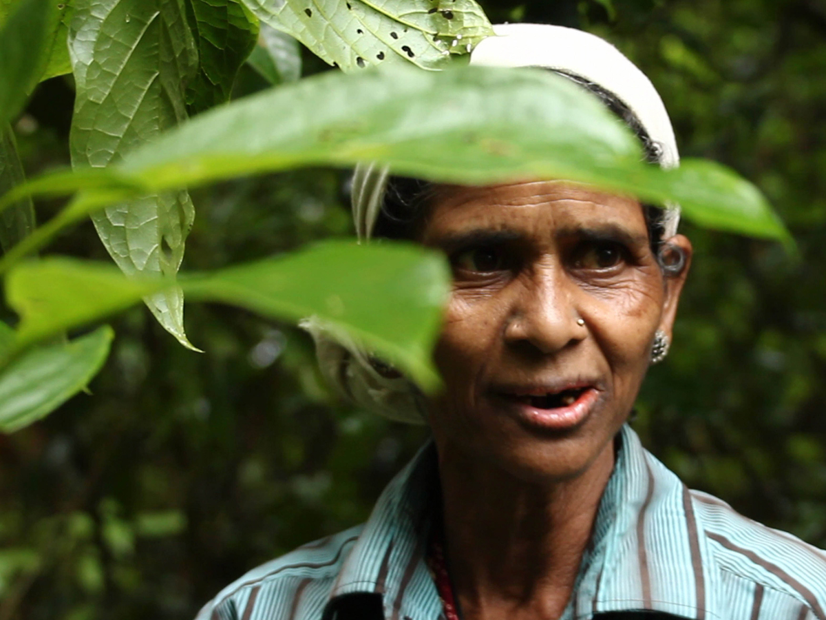 Have You Seen the Arana: Film Screening and Discussion