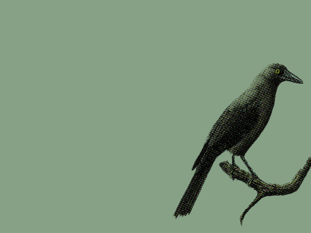 Hacking the Anthropocene: Climate Stories between Art and Science
