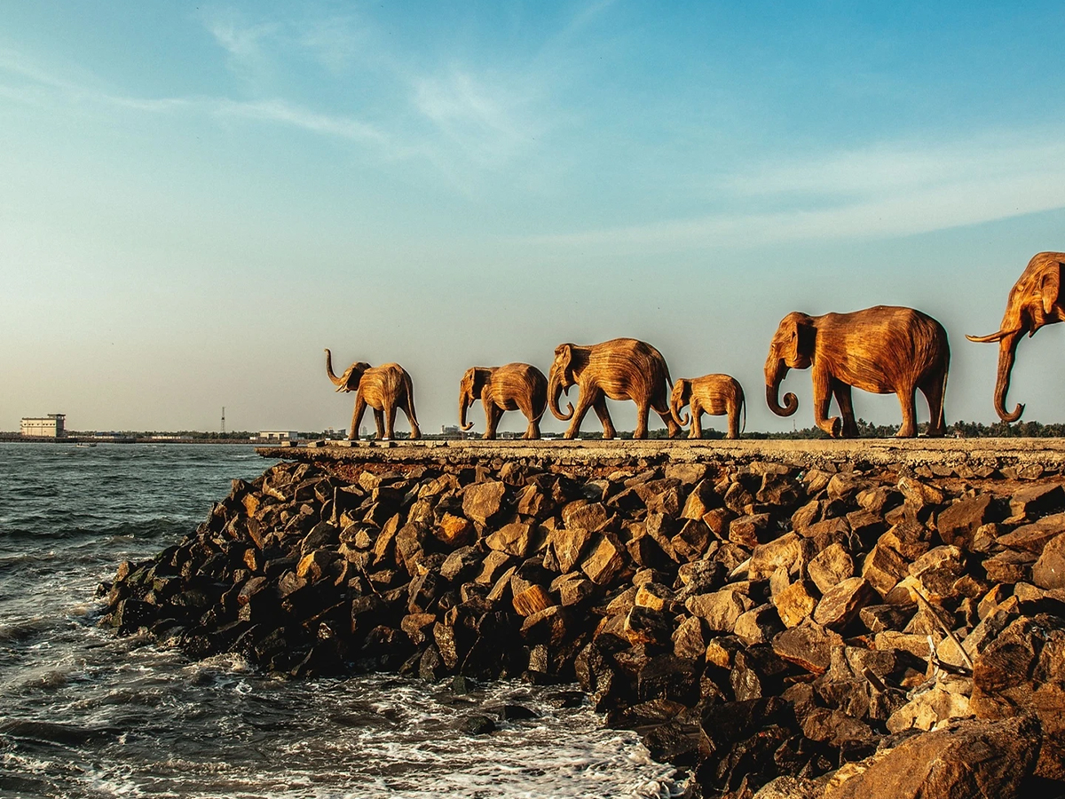 The India Biodiversity Portal, Citizen Science, and Coexistence: Evolving Beyond Primary Biodiversity Data