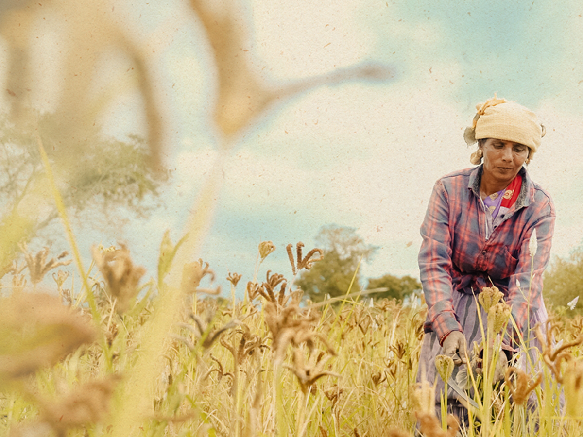 Hottege Hittu | Subsistence – A Documentary Film