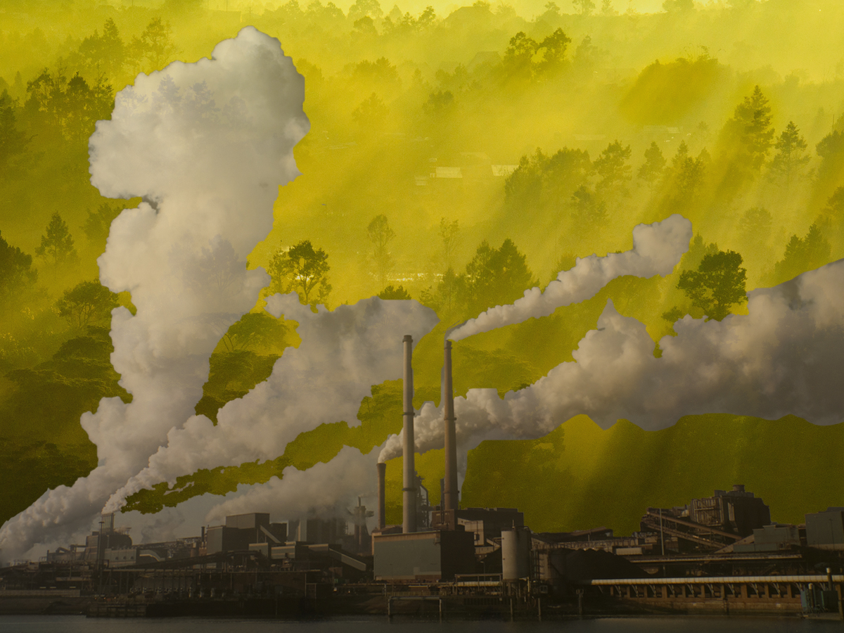 India’s Emissions Markets: Past, Present and Future