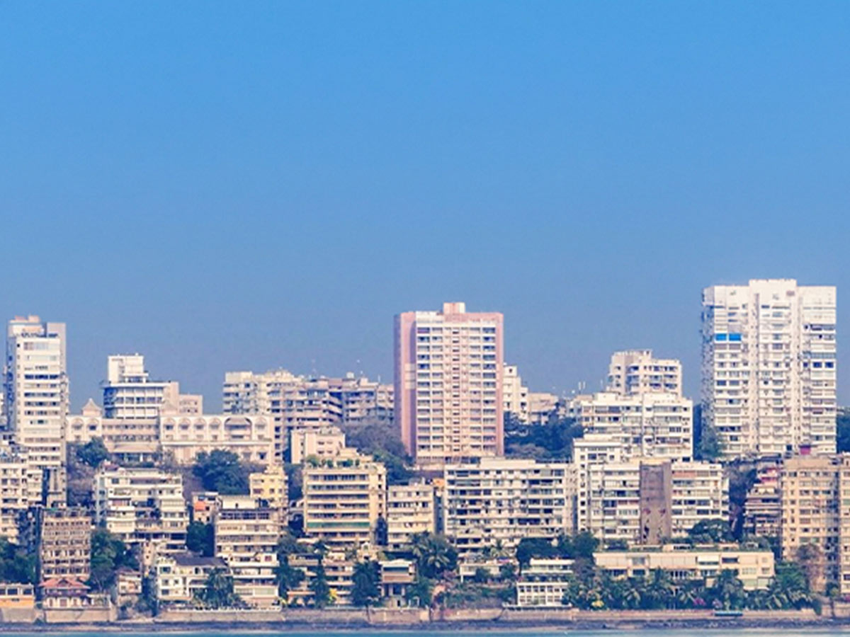Citizens, Canopies and Creatures: The Urban Web of Life.